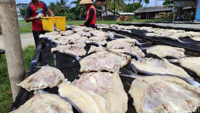 Proses produksi asin jambal roti di Pangandaran.