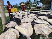 Bos Jambal di Pangandaran Mulai Siaga Hadapi Liburan Akhir Tahun