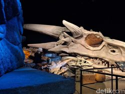 Launching Epik Realme 15 Pro Game of Thrones Limited Edition