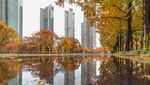 5 Hutan di Korea yang Asyik Dikunjungi saat Musim Gugur