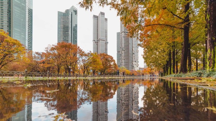 Seoul Forest