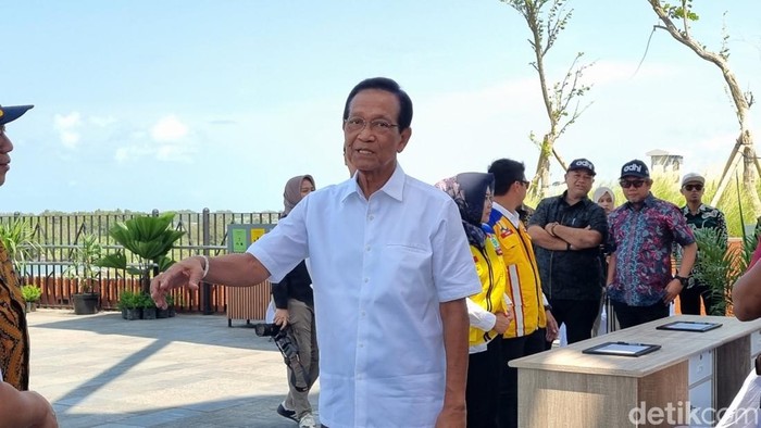 Gubernur DIY, Sri Sultan Hamengku Buwono (HB) X saat memberikan keterangan di Jembatan Pandansimo, Srandakan, Bantul, Kamis (9/10/2025).