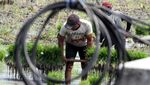Inovasi Listrik Masuk Sawah, Petani Ngawi Tak Takut Kekeringan