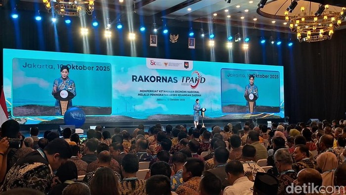 Kepala Eksekutif Pengawas Perilaku Pelaku Usaha Jasa Keuangan, Edukasi dan Pelindungan Konsumen OJK, Friderica Widyasari Dewi