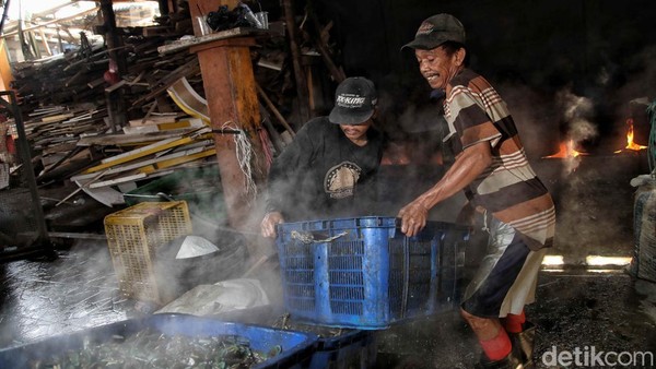 Kerang Hijau Cilincing Penopang Hidup Warga Pesisir