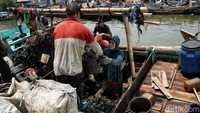 Seorang nelayan mengangkut ember berisi kerang hijau hasil tangkapan dari Teluk Jakarta di kawasan Cilincing, Jakarta Utara, Jumat (10/10/2025). Setiap fajar, para nelayan membawa hasil laut untuk dijual ke pengusaha lokal.