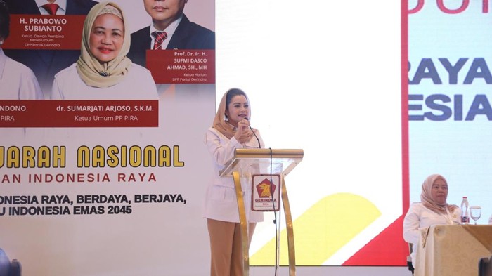 Novita Wijayanti terpilih menjadi Ketua Umum Perempuan Indonesia Raya (PIRA) periode 2025-2030, organisasi sayap Partai Gerindra, menggantikan posisi Sumarjati. Novita berkomitmen memperkuat peran perempuan.