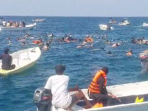 Video: Berenang Bareng Ikan Pari Manta di TN Komodo
