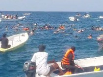 Video: Berenang Bareng Ikan Pari Manta di TN Komodo