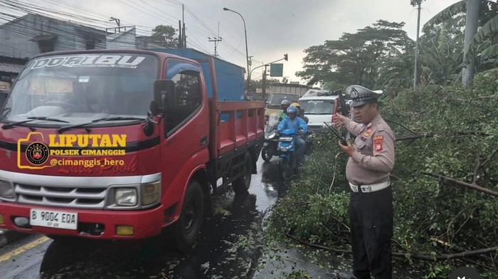 Pohon tumbang akibat hujan deras hingga mengganggu akses lalin di Cimanggis, Depok.
