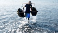 Menurut sejumlah petani, kondisi cuaca yang panas dan stabil pada bulan Oktober ini menjadi waktu terbaik untuk memproduksi garam. Dalam sehari, seorang petani dapat memanen rata-rata 20 kilogram garam, yang dijual dengan harga berkisar Rp10 ribu hingga Rp25 ribu per kilogram, tergantung pada tingkat kemurnian dan kualitas kristalnya. ANTARA FOTO/Nyoman Hendra Wibowo