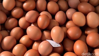 RI Ekspor Telur-Daging Ayam Rp 18,2 Miliar