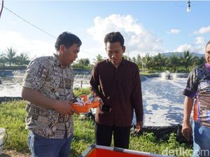 Dosen Itera Ciptakan Tambak Udang Cerdas Berbasis IoT, Dipantau Lewat HP