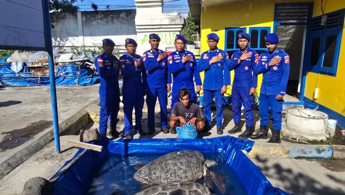 Ditpolairud Polda NTT mengamankan seorang nelayan bernama Aslan karena menangkap penyu untuk diperjualbelikan di Sikka, Sabtu (11/10/2025). (Foto: Dok. Ditpolairud Polda NTT)