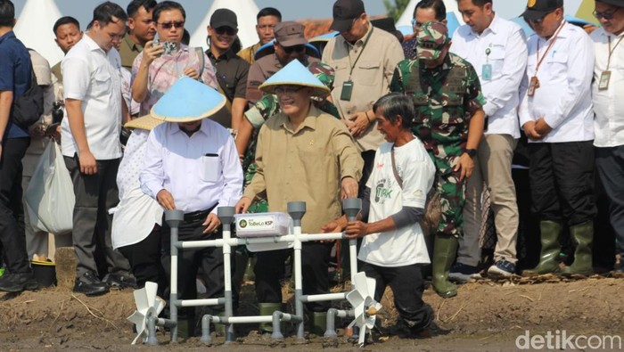 Kepala BP Taskin, Budiman Sujatmiko bersama Forkopimda Kabupaten Cirebon saat melakukan penanaman padi