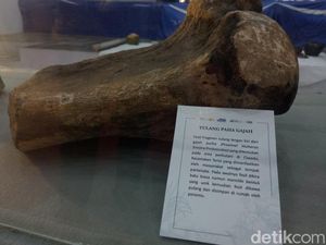 Video: Mengenal 5 Bangunan di Indramayu yang Jadi Cagar Budaya