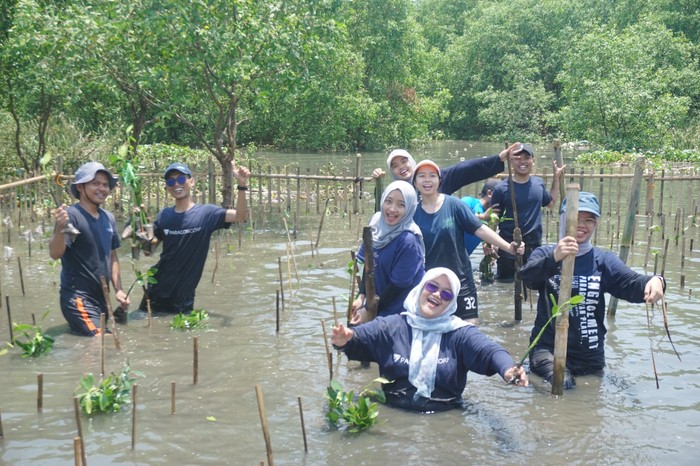 Paragonian Bergerak 2025 Tanam 3.500 Mangrove di Desa Tanjung Burung