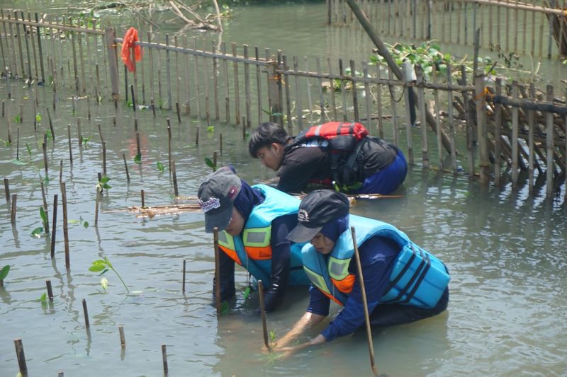 Paragonian Bergerak 2025 Tanam 3.500 Mangrove di Desa Tanjung Burung