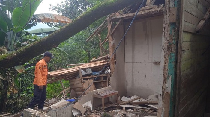 Pohon tumbang menimpa salah satu rumah warga di Desa Wargajaya, Kecamatan Cigudeg, Bogor, Jawa Barat.