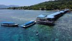 Pulau Karampuang Jadi Magnet Baru Wisata Mamuju