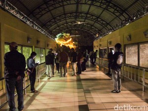 Total 3.635 Warga Kunjungi Wisata Malam Ragunan Hari Ini