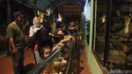 Sensasi Baru Wisata Malam di Taman Margasatwa Ragunan