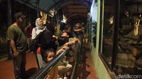Ada zookeper yang memberikan penjelasan soal satwa yang dikunjungi.