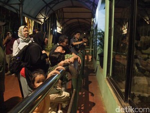 Antusiasme Tinggi Warga Saat TM Ragunan Perdana Buka Malam Hari