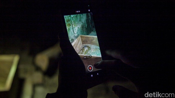 Wisatawan melihat satwa nokturnal di Taman Margasatwa Ragunan, Jakarta, Sabtu (11/10/2025) malam.