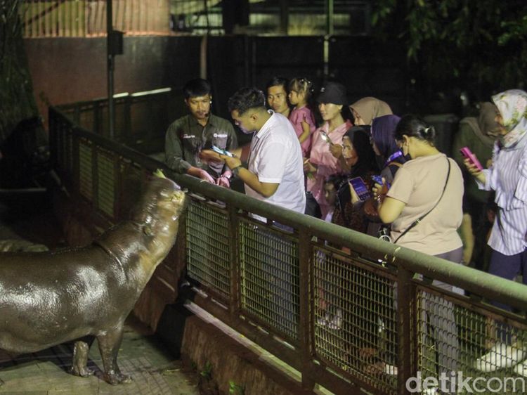 Sensasi Baru Wisata Malam di Taman Margasatwa Ragunan
