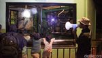 Sensasi Baru Wisata Malam di Taman Margasatwa Ragunan