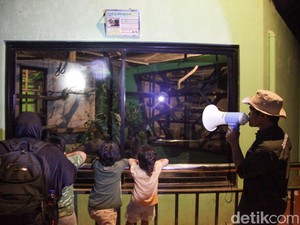 Ketua Komisi D DPRD DKI Usul Ada Bus Wara-wiri Saat Wisata Malam Ragunan