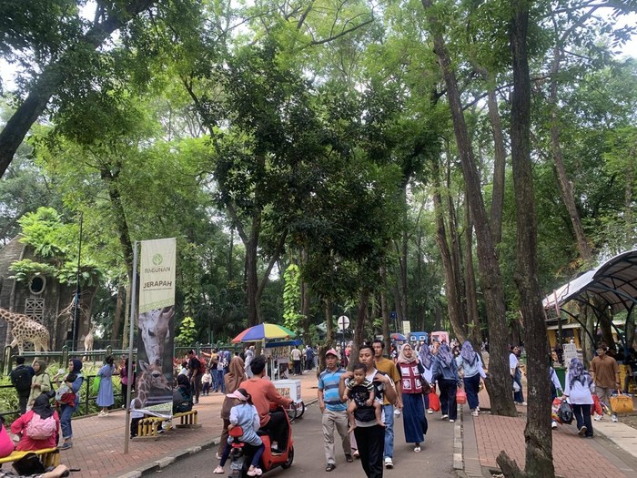 Suasana di Ragunan, 11 Oktober 2025 (Mulia/detikcom)