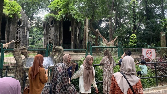 Suasana Ragunan jelang pembukaan wisata malam (Mulia Budi/detikcom)