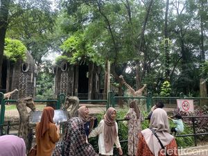 Wisata Malam Dimulai Hari Ini, Begini Persiapan TM Ragunan