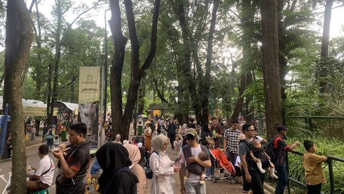 Suasana Taman Margasatwa Ragunan sore ini, Sabtu (11/10/2025).
