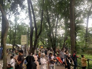 Video: Melihat Persiapan TM Ragunan Buka Wisata Malam Hari Ini