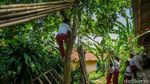 Tak Ada Kelas, Halaman pun Jadi: Semangat Anak SDN di Cariu Tak Luntur