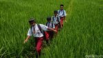 Tak Ada Kelas, Halaman pun Jadi: Semangat Anak SDN di Cariu Tak Luntur