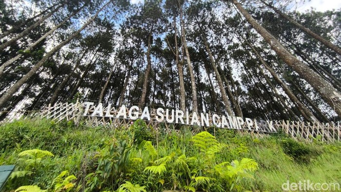 Talaga Surian Kuningan