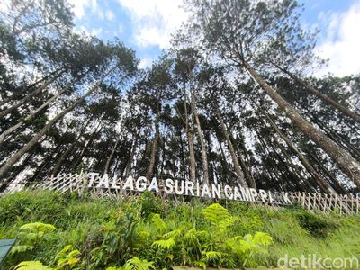 Pesona Kesejukan Wisata Alam Talaga Surian di Kuningan