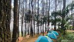 Pesona Kesejukan Wisata Alam Talaga Surian di Kuningan