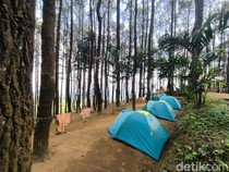 5 Rekomendasi Bumi Perkemahan untuk Libur Akhir Pekan di Kuningan