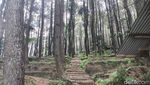 Pesona Kesejukan Wisata Alam Talaga Surian di Kuningan