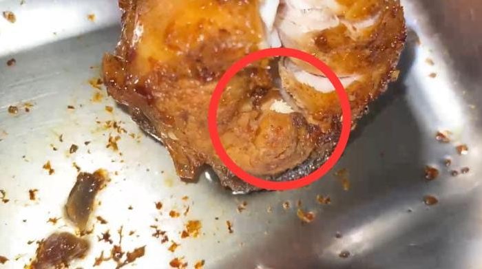 Viral belatung di menu MBG di sekolah Gorontalo.
