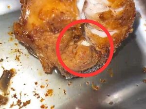 Heboh Belatung di Menu MBG SMA Telaga Gorontalo