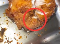 Heboh Belatung di Menu MBG SMA Telaga Gorontalo