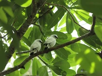 Tak Cuma buat Rekreasi, TSI Juga Jadi Tempat Edukasi dan Konservasi