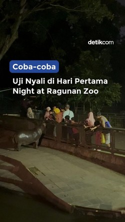 Video: Uji Nyali di Hari Pertama Night at Ragunan Zoo