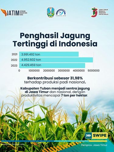 Jatim berkontribusi sebesar 31,98% terhadap produksi padi nasional,